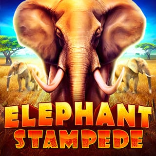 Elephant Stampede icon